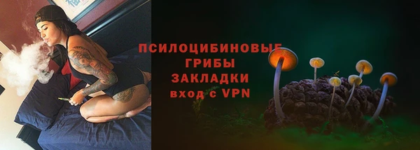 ПСИЛОЦИБИНОВЫЕ ГРИБЫ Алексеевка
