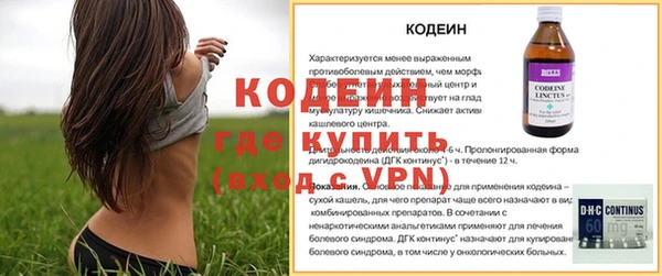 твердый Долгопрудный